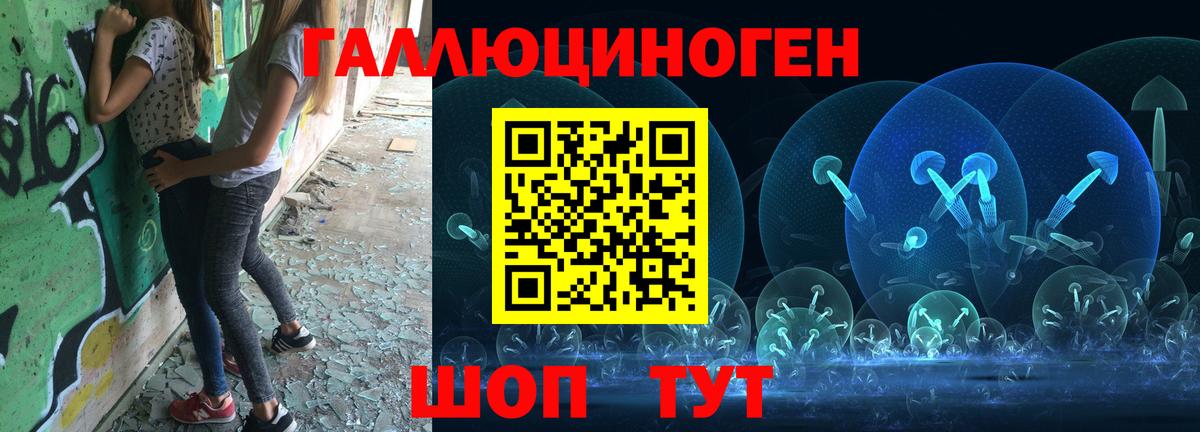 Галлюциногенные грибы Psilocybe  Вход с VPN  где купить наркоту  Строитель 