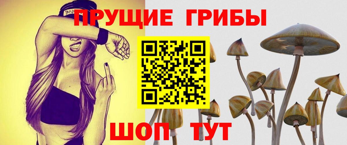 Меф МЯУ МЯУ кристаллы  COCAIN  Конопля  НБОМе  Гашиш  Вход с VPN  Строитель  Кетамин  Codein  Экстази 
